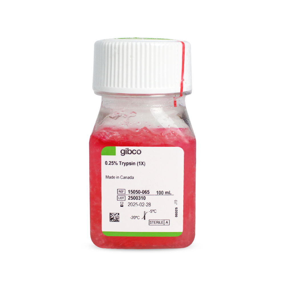 胰酶細(xì)胞消化液（0.25%胰酶，不含EDTA，含酚紅）